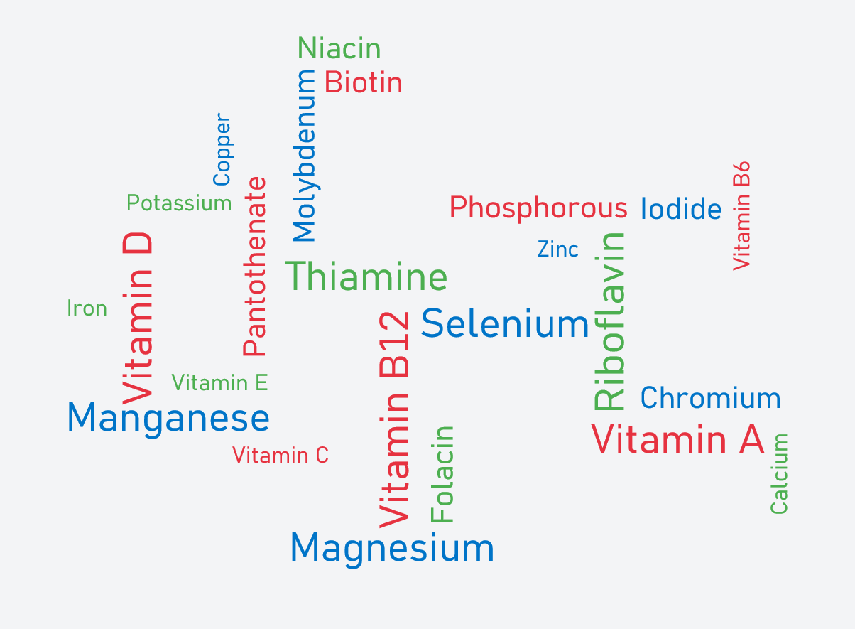 The Power of Vitamins and Minerals for Busy Canadian Adults: Why Nutrients Matter More Than Ever